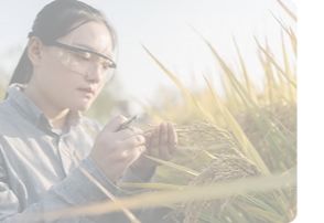 Checking the Crops