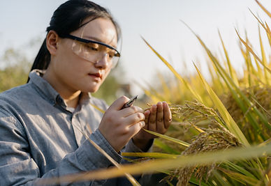 Checking the Crops